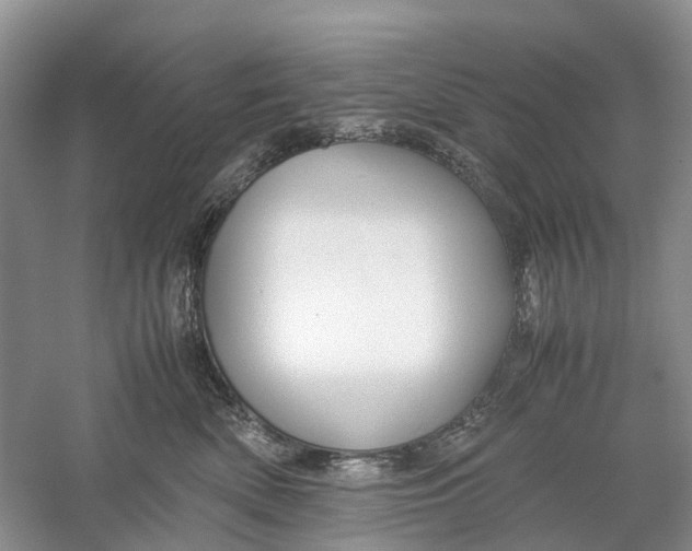 X0000060280522200511181326