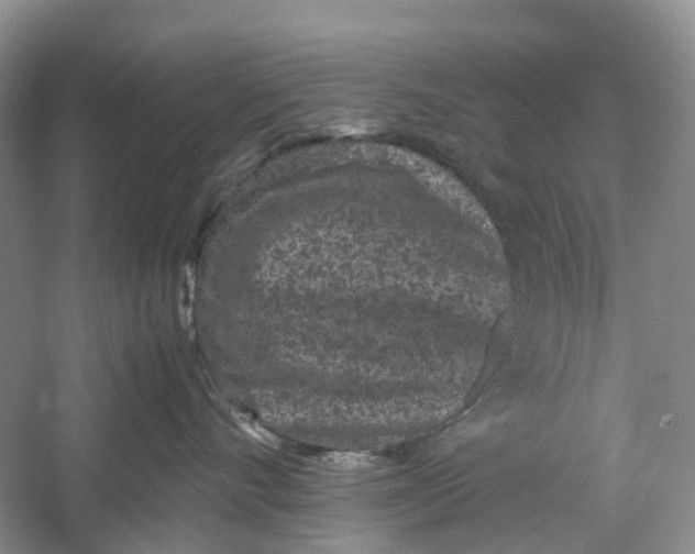 X0000060280528200511181326