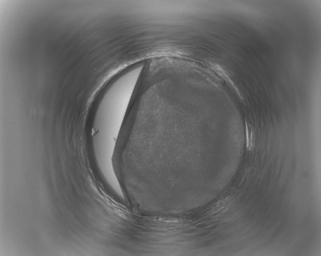 X0000060280531200511181325