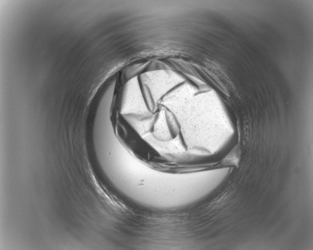 X0000060280534200511181325