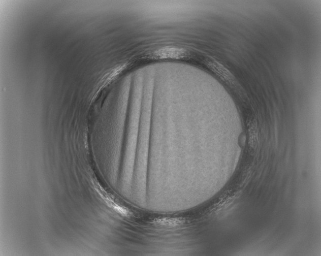 X0000060280537200511181325