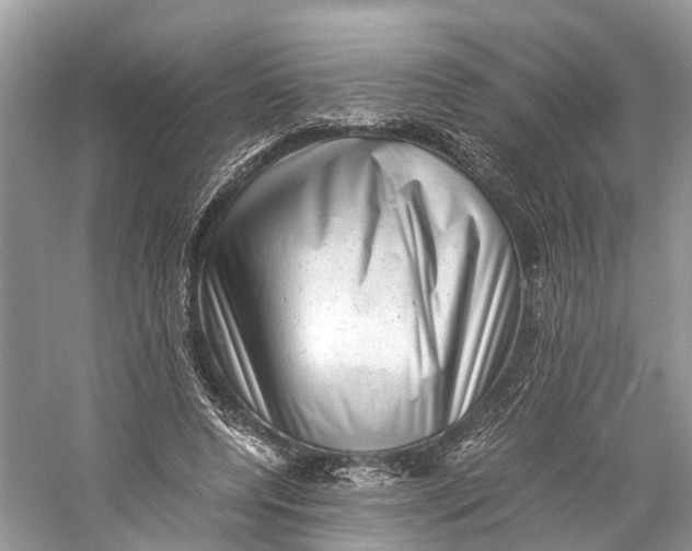 X0000060280544200511181325