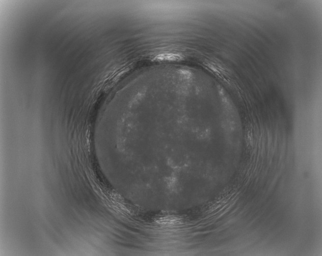 X0000060280551200511181325
