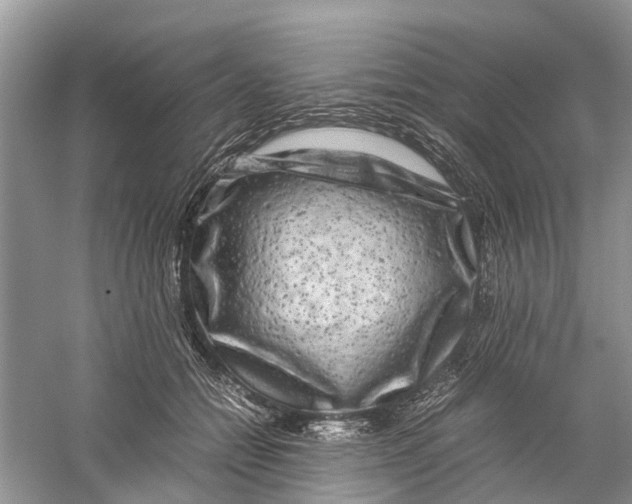 X0000060280558200511181325