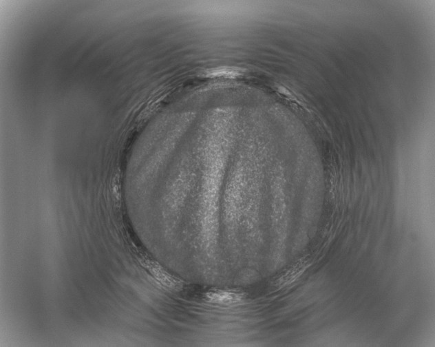 X0000060280561200511181325
