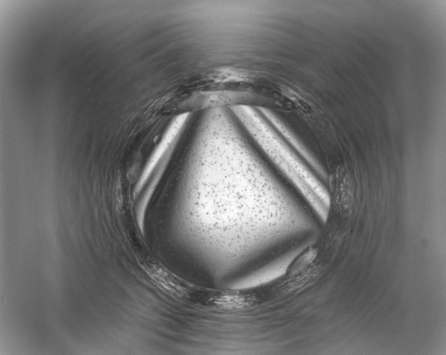 X0000060280562200511181325