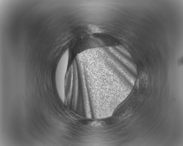 X0000060280566200511181325