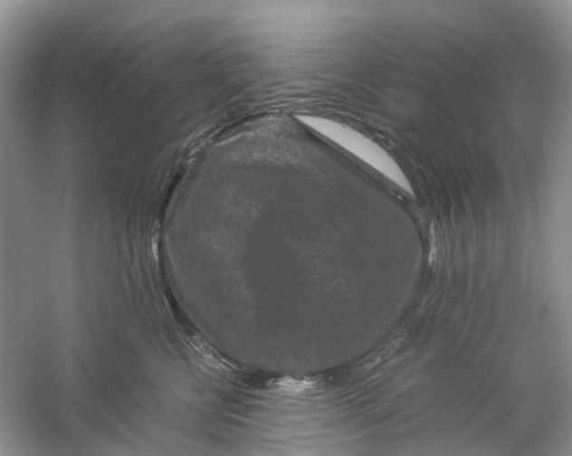 X0000060280570200511181325