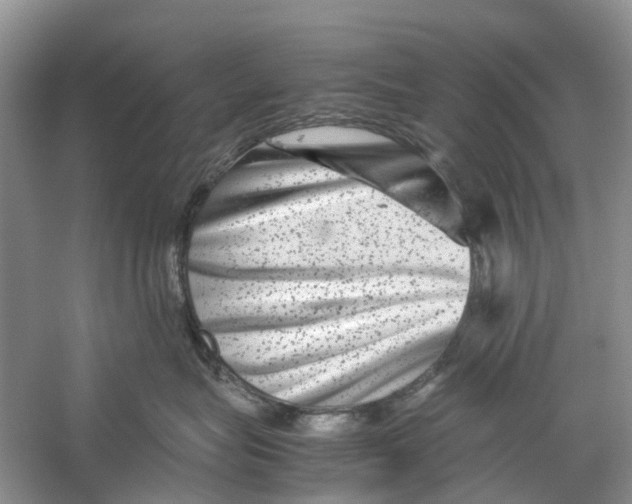 X0000060280575200511181325