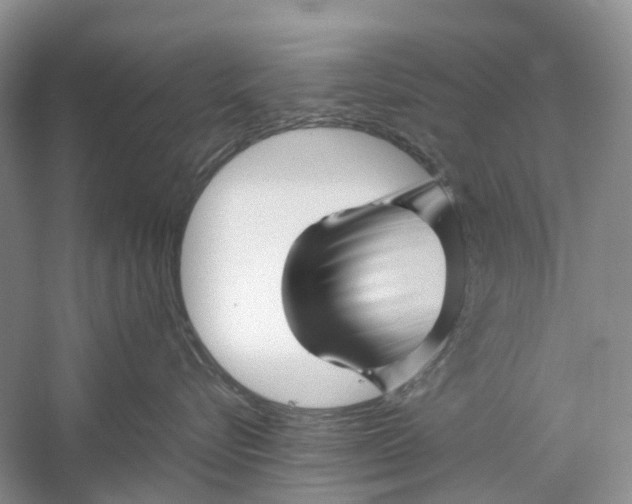 X0000060280576200511181325