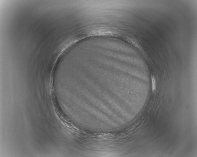 X0000060280579200511181325
