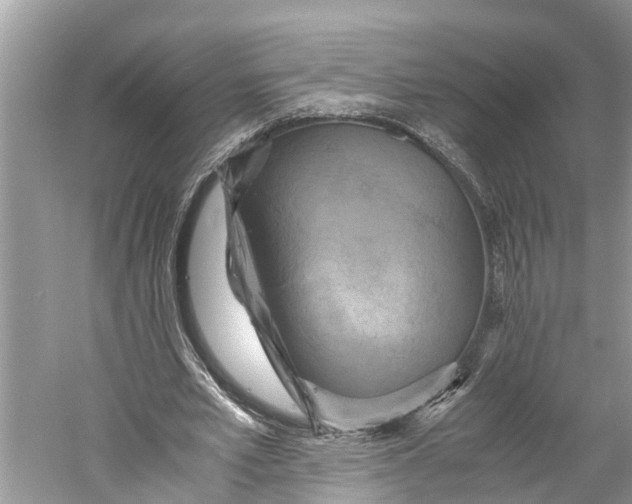X0000060280581200511181325