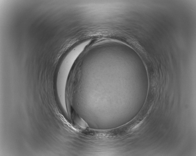 X0000060280585200511181325
