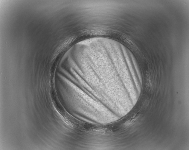 X0000060280586200511181325