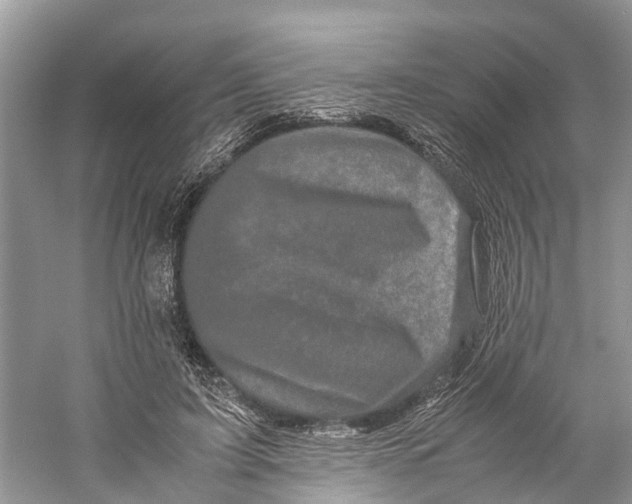 X0000060280595200511181324