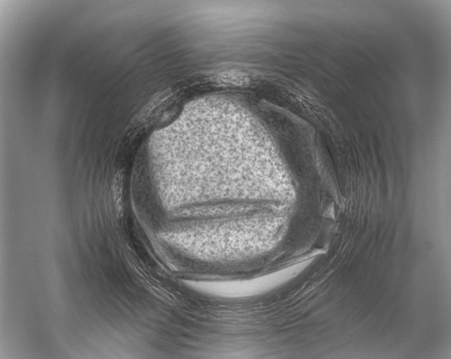 X0000060280600200511181324