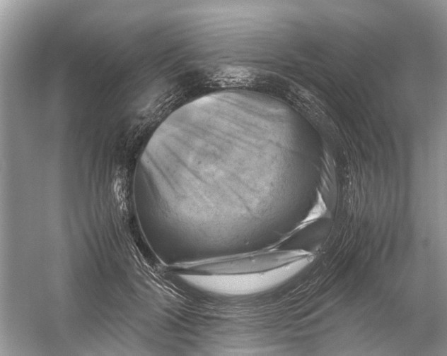 X0000060280604200511181324