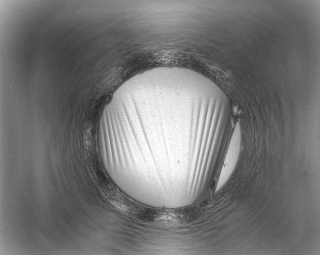 X0000060280611200511181324