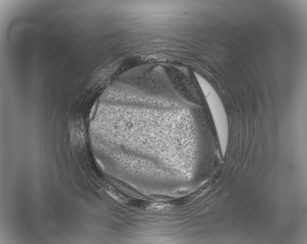 X0000060280617200511181324