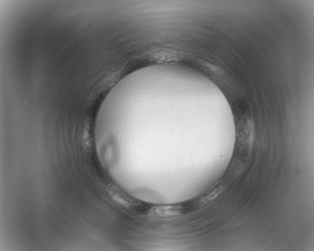 X0000060280622200511181324