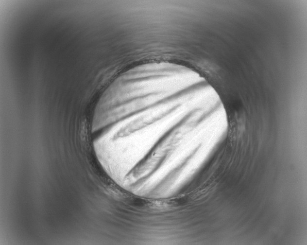 X0000060280623200511181324