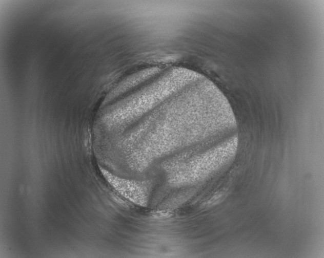 X0000060280624200511181324