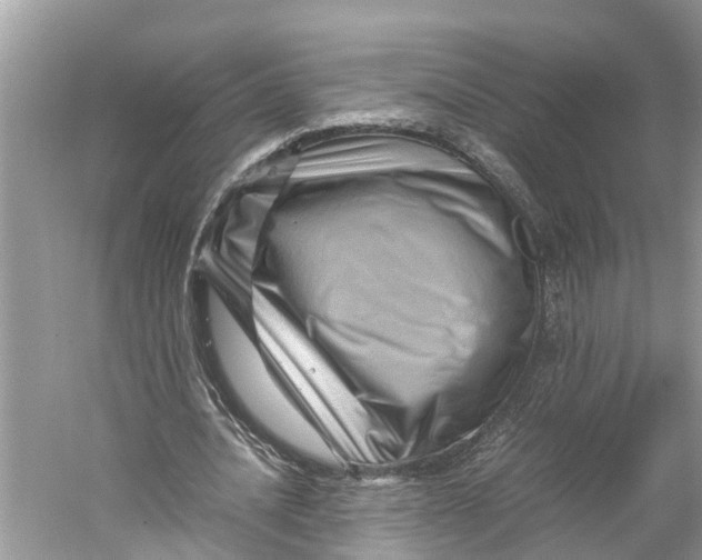 X0000060280628200511181323