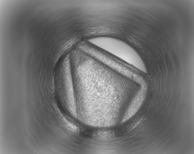 X0000060280638200511181323