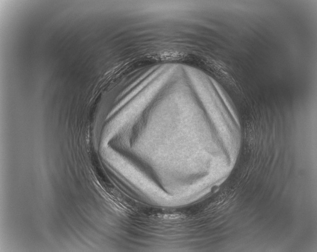 X0000060280645200511181323