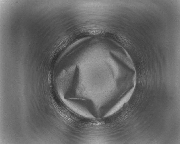X0000060280646200511181323