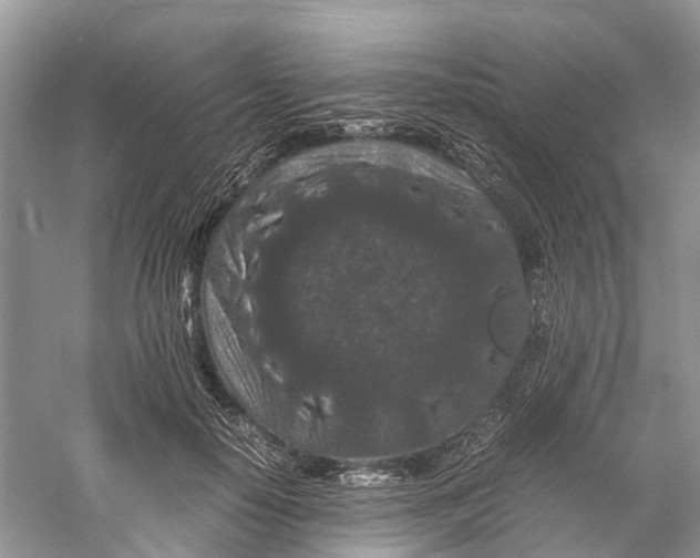 X0000060280650200511181323