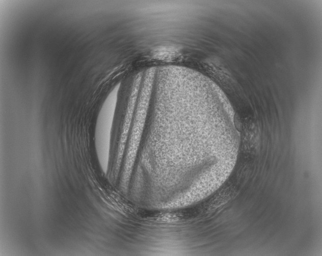 X0000060280656200511181324