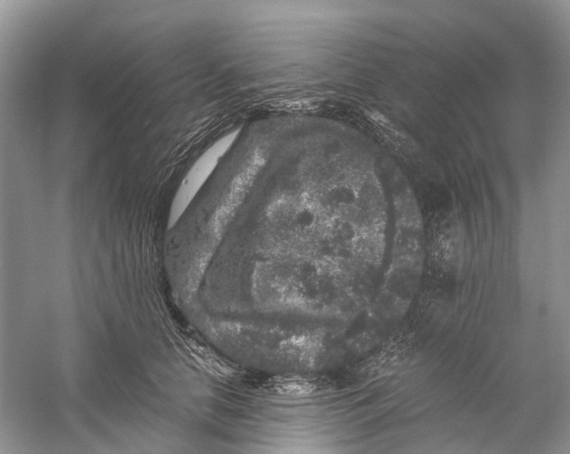 X0000060280658200511181324