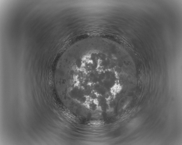 X0000060280659200511181324