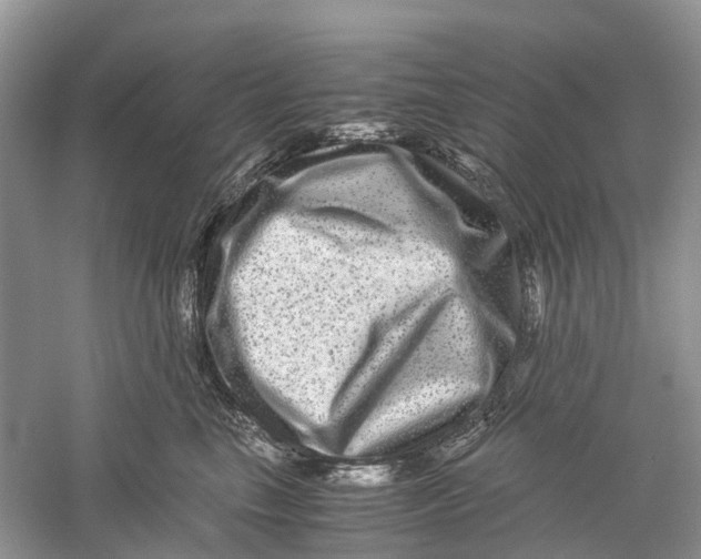 X0000060280665200511181324