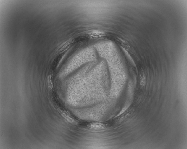 X0000060280666200511181324