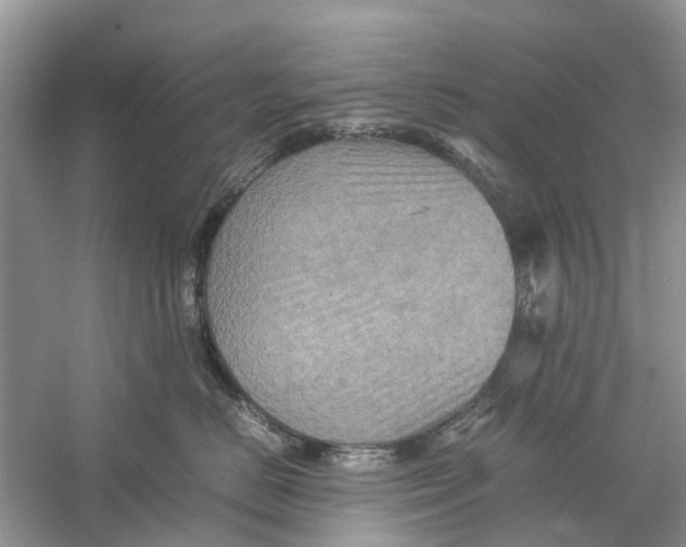 X0000060280670200511181324
