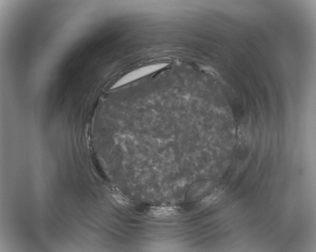 X0000060280671200511181324