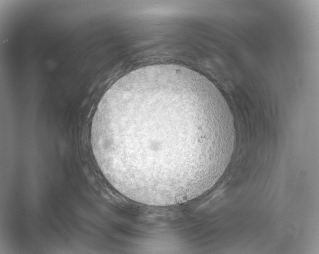 X0000060280672200511181324