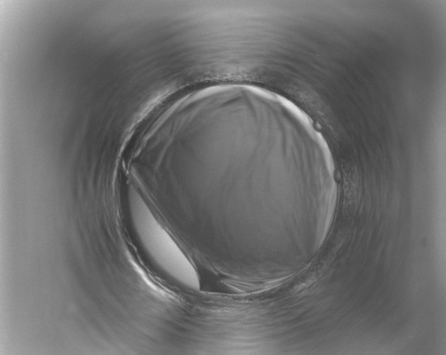 X0000060280674200511181323