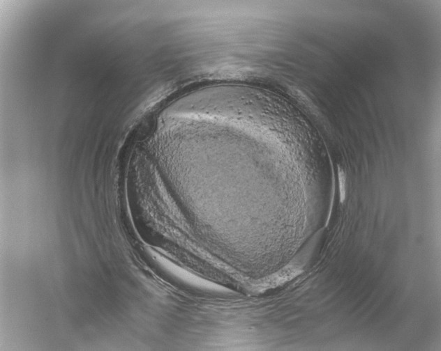 X0000060280675200511181323