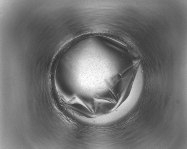 X0000060280676200511181323