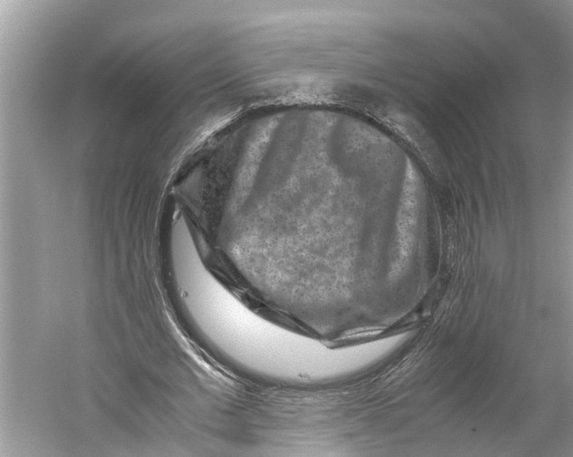 X0000060280677200511181323