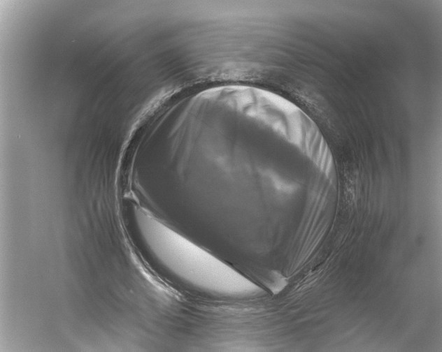 X0000060280678200511181323