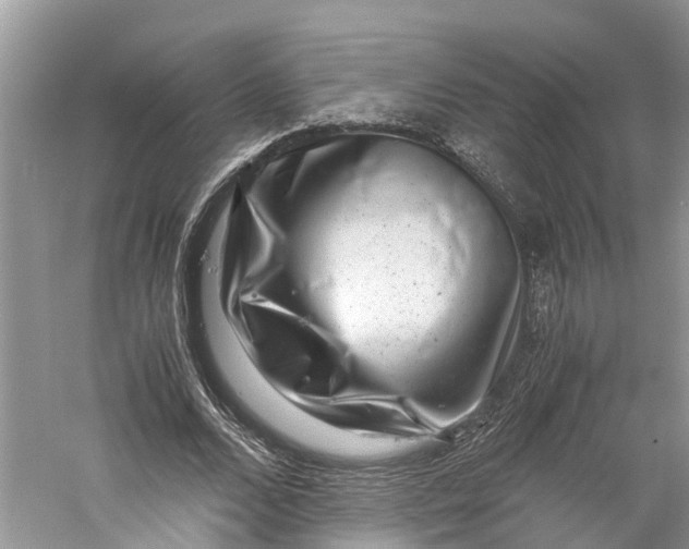 X0000060280680200511181323
