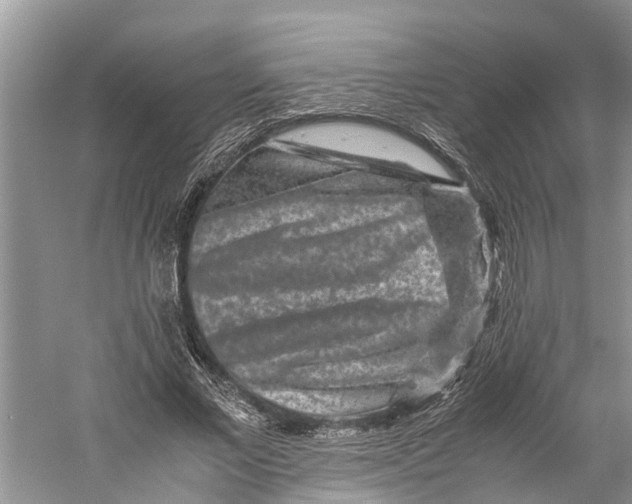 X0000060280685200511181323