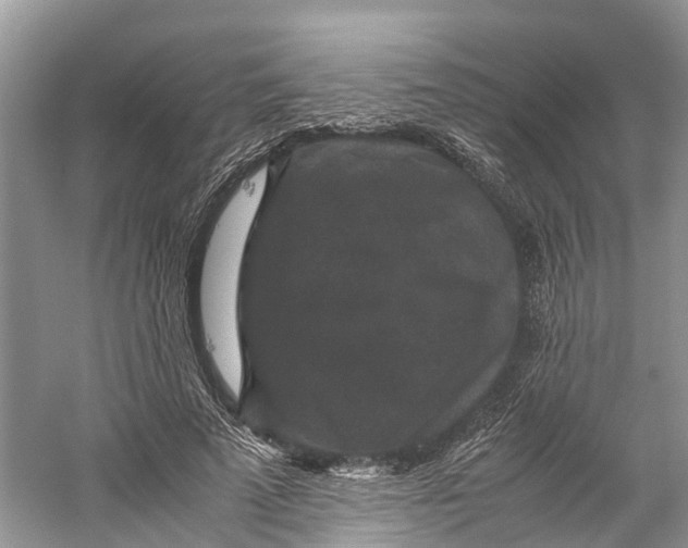 X0000060280689200511181323