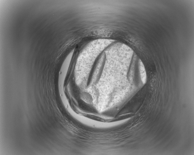 X0000060280693200511181323