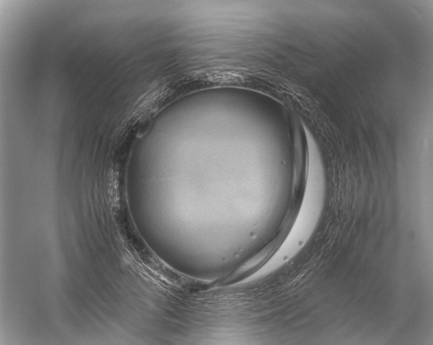 X0000060280696200511181323