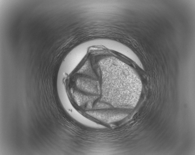 X0000060280697200511181323
